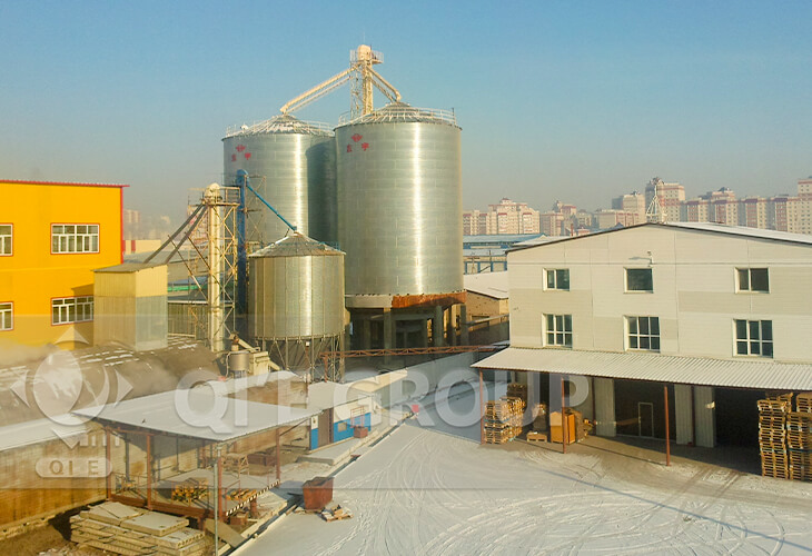 Soybean Oil Production Line In Russia