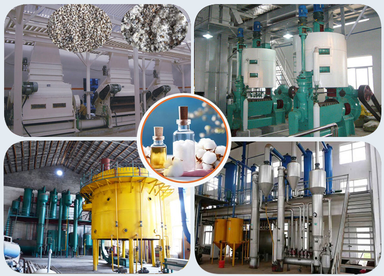 Cotton Seed Oil Production Line