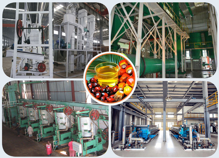 Palm Kernel Oil Production Line