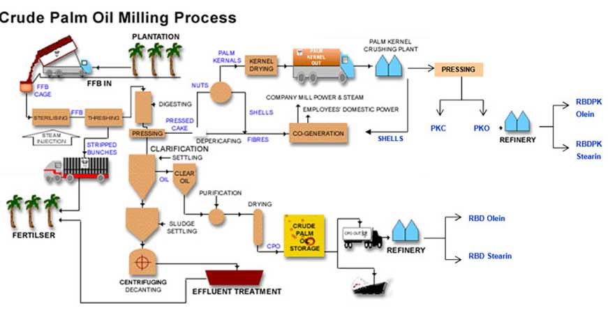 Palm Oil Production Line flow chart
