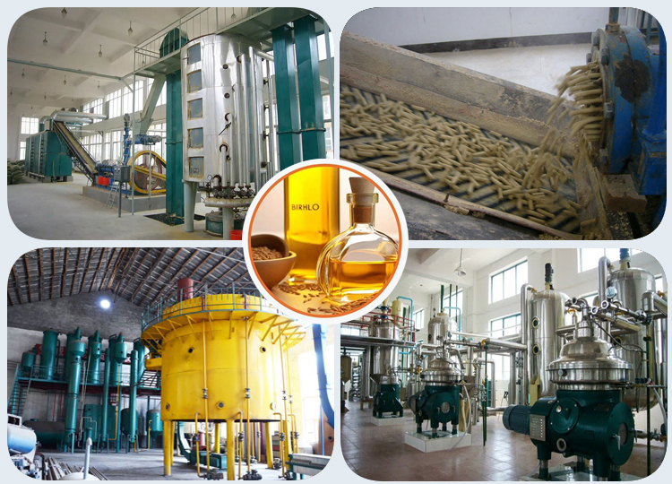 Rice Bran Oil Production Line