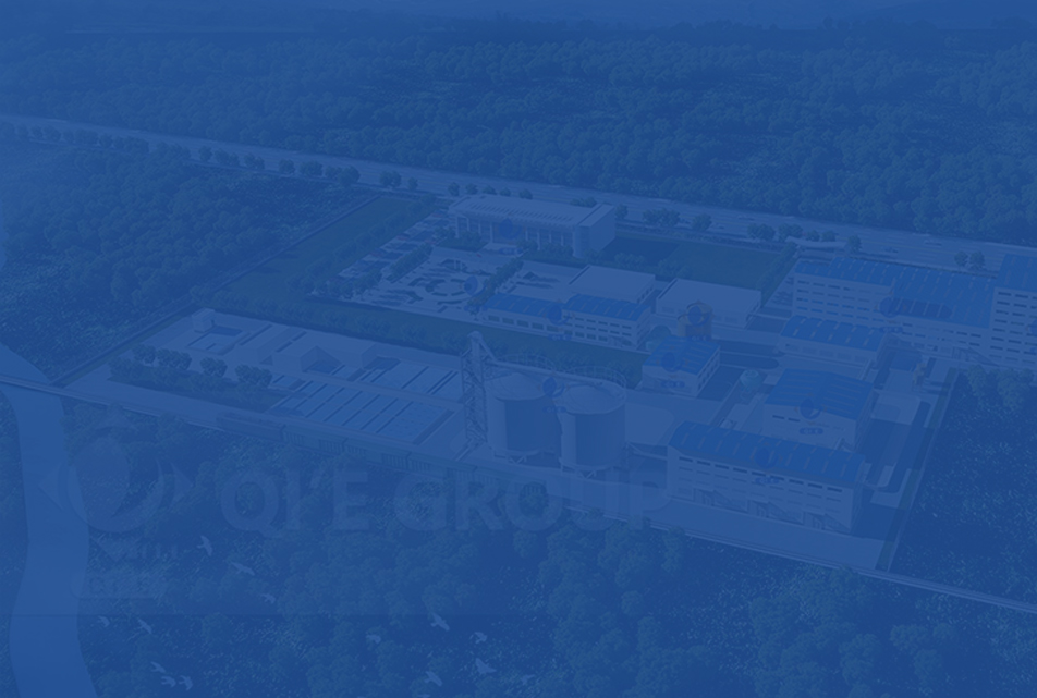 Soybean Oil Processing Plant