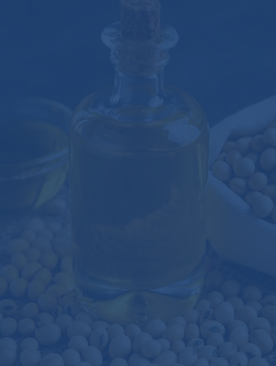 Soybean Oil Production Line